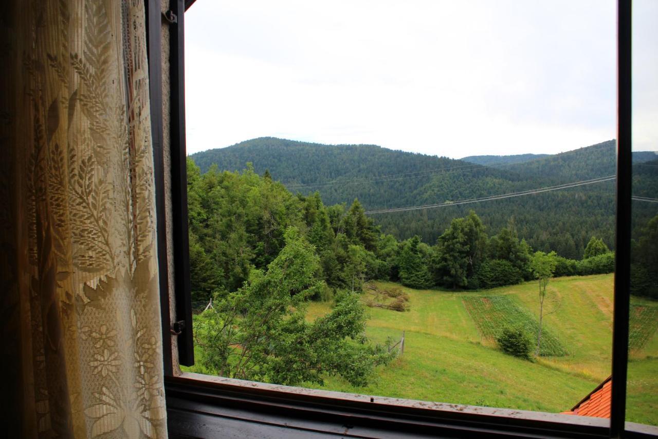 Kuca Za Odmor Cicki Vrh Villa Brestova Draga Bagian luar foto