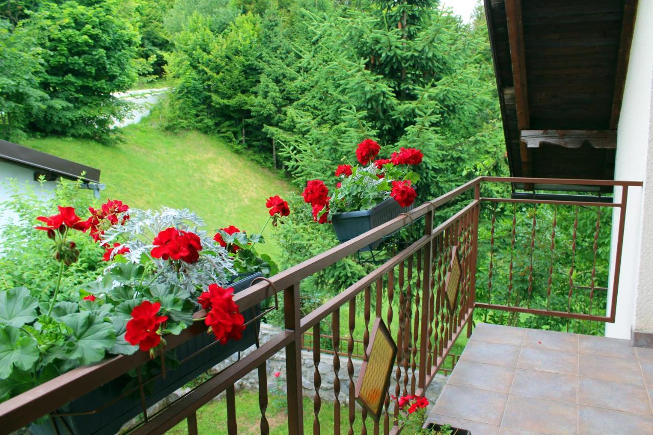 Kuca Za Odmor Cicki Vrh Villa Brestova Draga Bagian luar foto