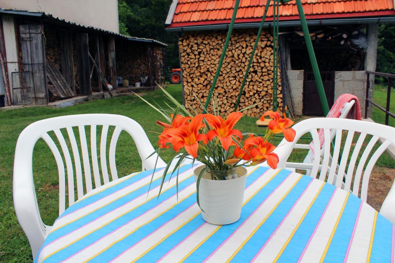 Kuca Za Odmor Cicki Vrh Villa Brestova Draga Bagian luar foto